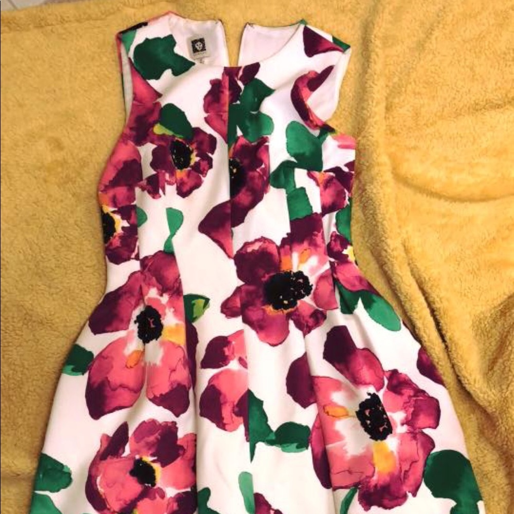 Anne Kline dress